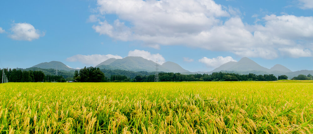 大和町（吉田峰地区からの七ツ森）画像